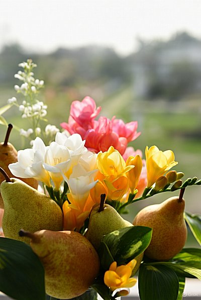 Freesia & Pear Parfümöl
